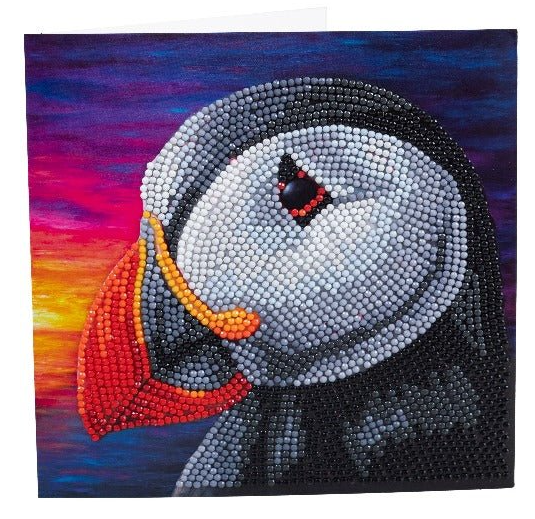 * puffin sunset