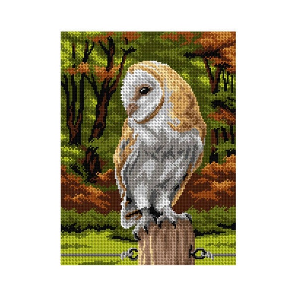 * Barn owl
