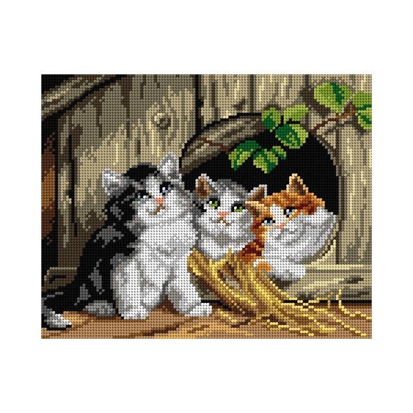 * Friendly shelter
