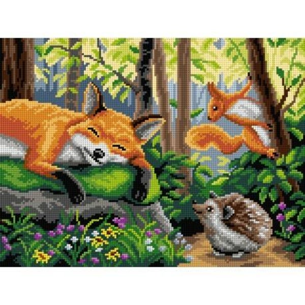 * Morning in the woods