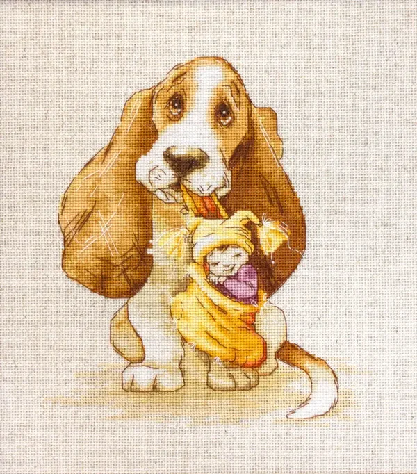 * basset