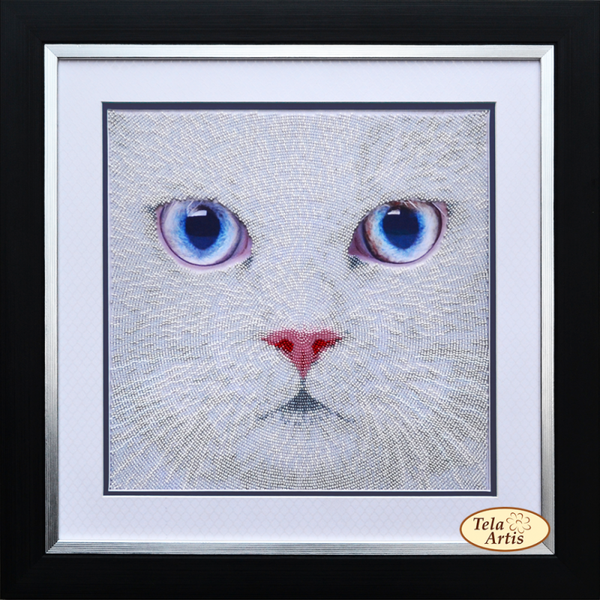 * Witte poes