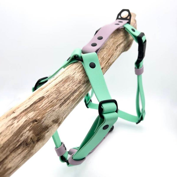 Biothane Hundegeschirr - Classic - verstellbar