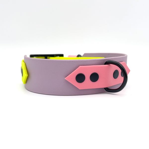 DUOBAND TOP Biothane Halsband, 38/25 mm