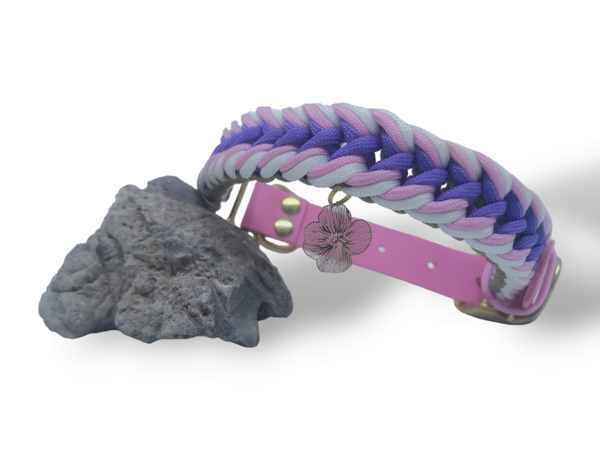 Collection ORCHIDÉES