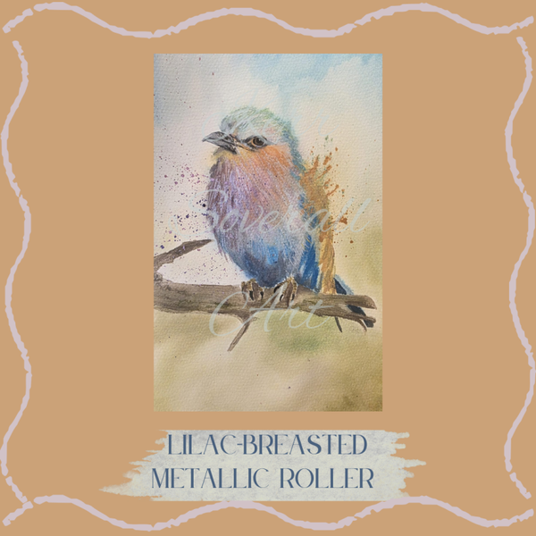 “Lilac Breasted Metallic Roller” Wednesday Morning 10-11.45