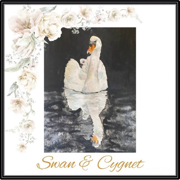 "Swan and Cygnet" Monday 25th of August