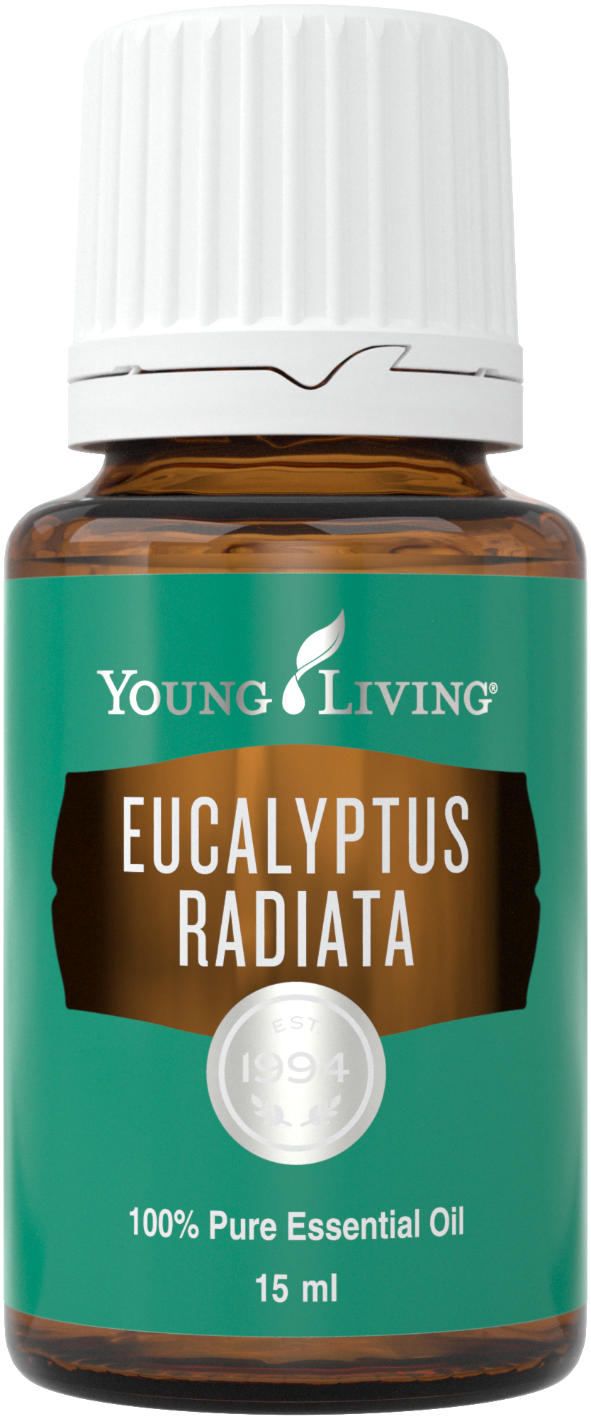 Eucalyptus Radiata