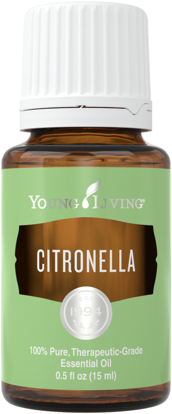 Citronella