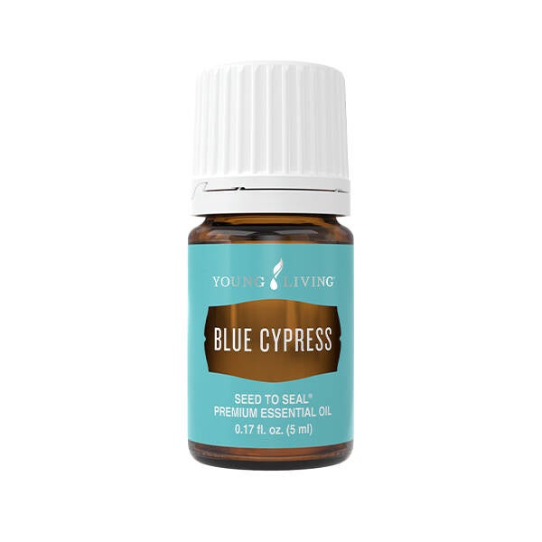 Blue Cypress