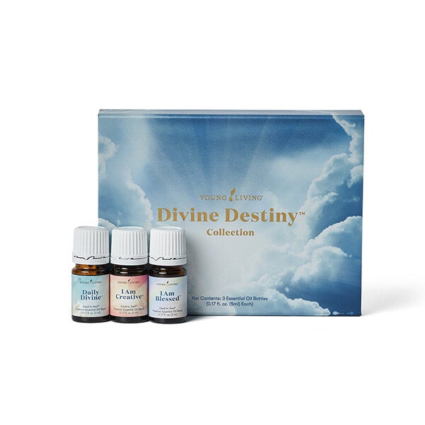 NIEUW: Divine Destiny Collection