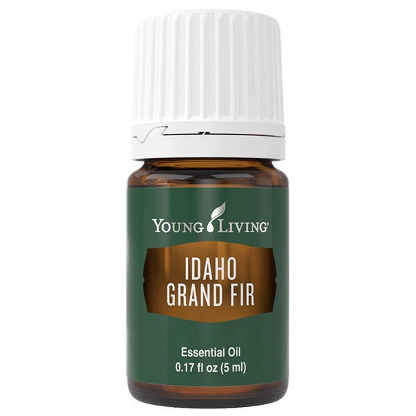 Idaho Grand Fir