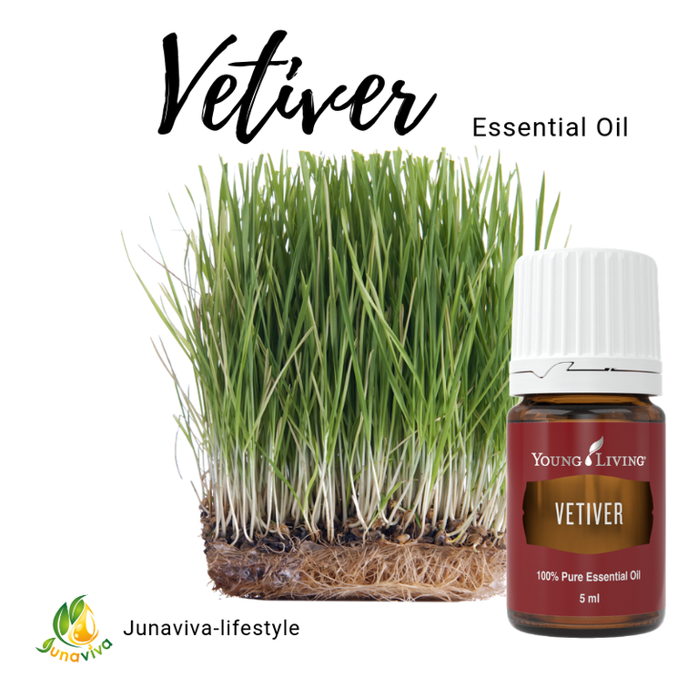 Vetiver Producten in de spotlight junaviva lifestyle