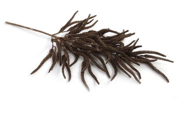 Decostar Kunstäste  70 cm