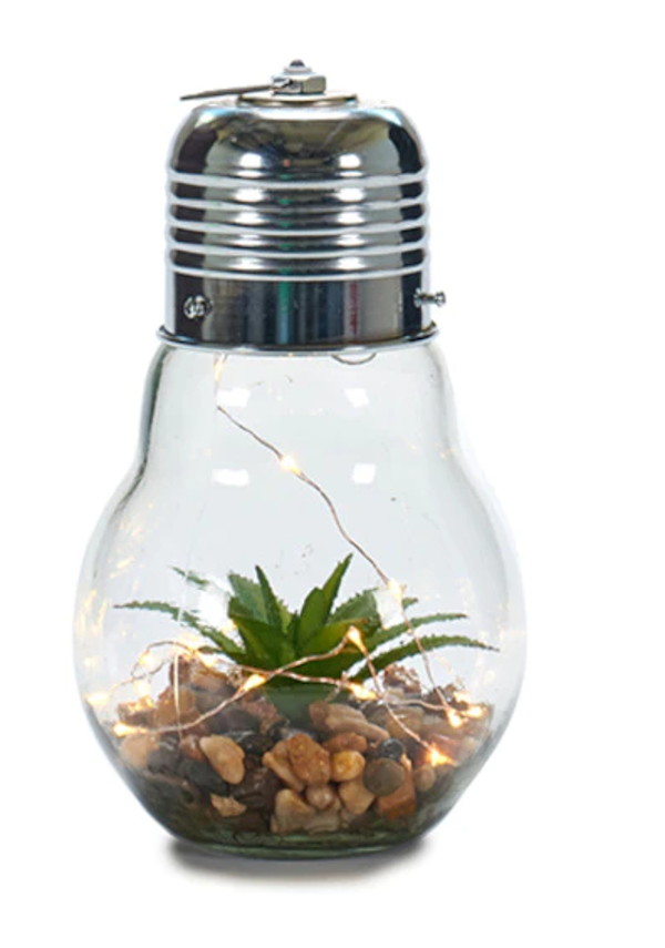 Dekoleuchte mit Kaktus