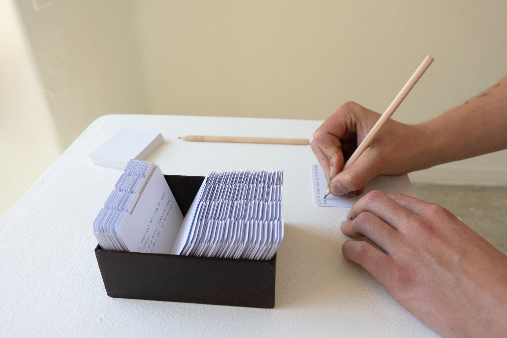 Mémologie 1 et 2 Maurine Stoudmann