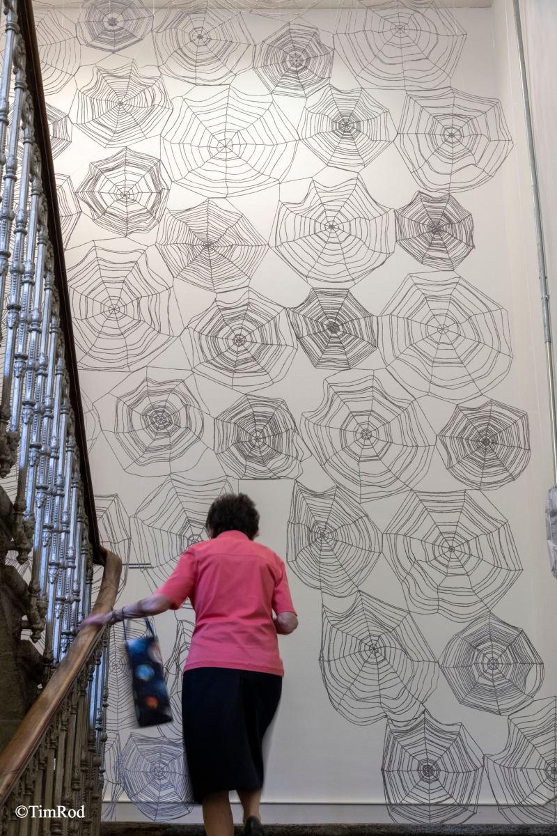 Mailles après mailles. Maurine Stoudmann