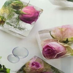 fb95a900b442f5e912b63a29bffd97ad-standard.jpg