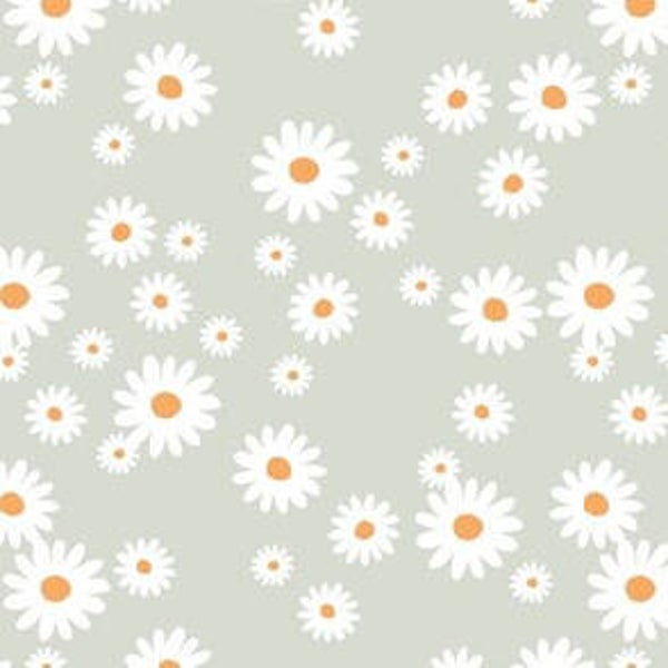 1 taie d’oreiller pour lit simple