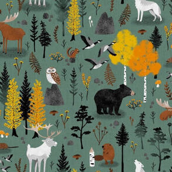 PLUS BELLES NAPPES DE PIQUE-NIQUE : FORET BOREALE CANADA