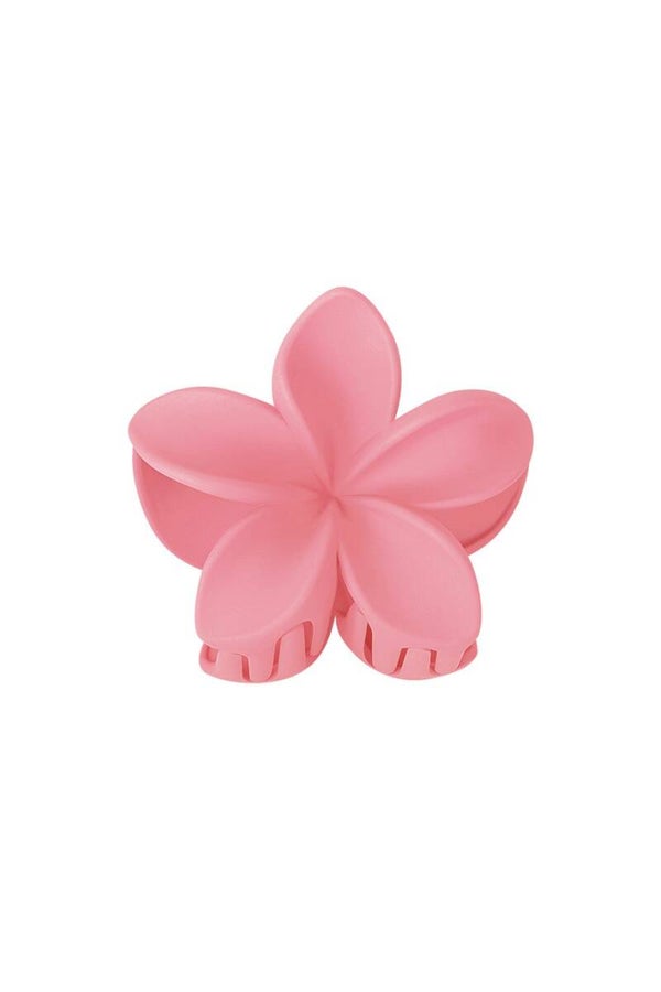 haarklem bloem pink
