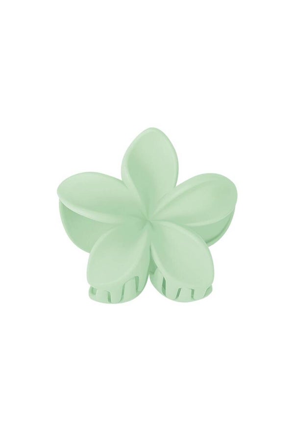 haarklem bloem groen
