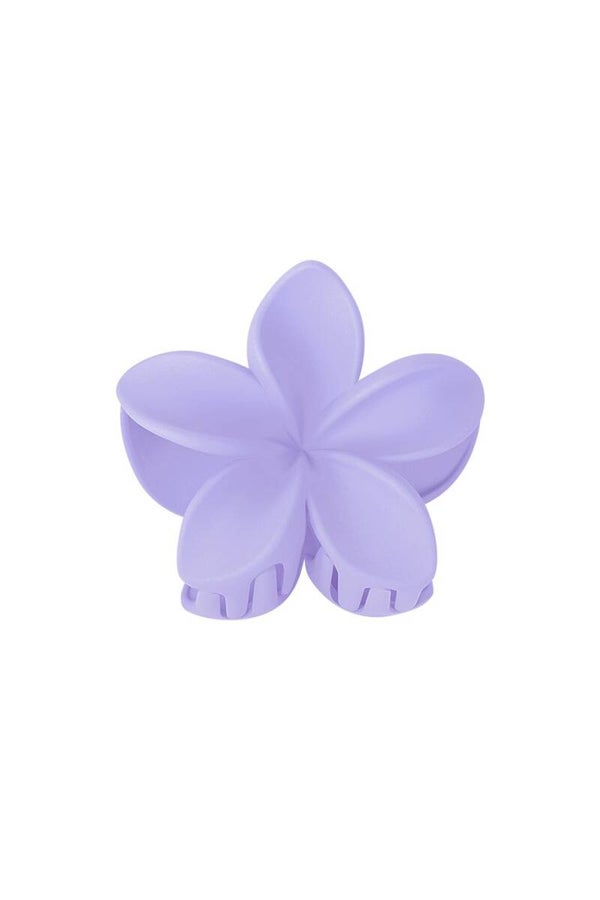 haarklem bloem purple