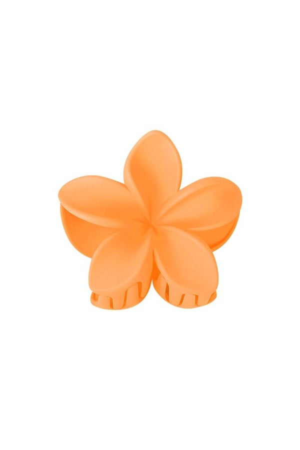 haarklem bloem oranje