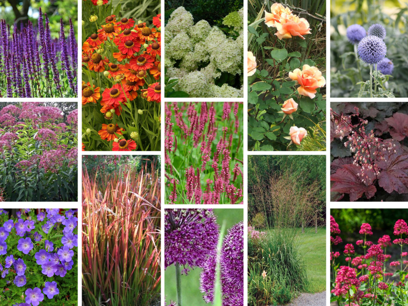 Stockfoto beplantingsplan