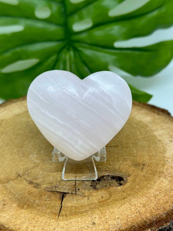 Mangano Calciet hart