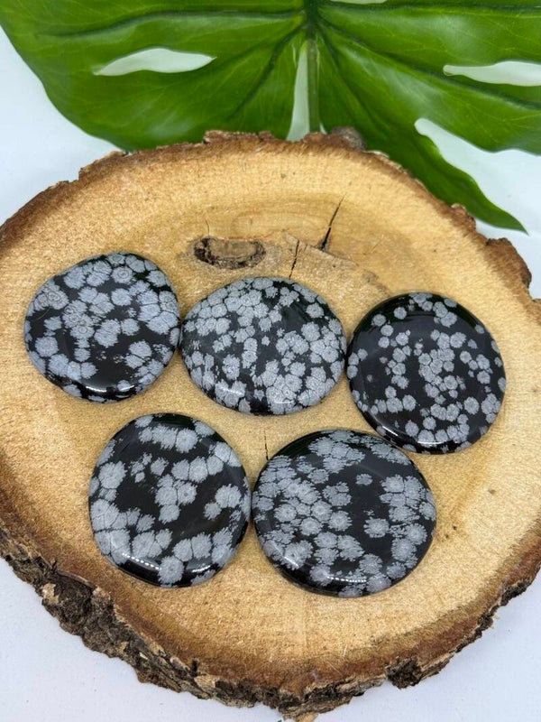 Sneeuwvlok obsidiaan palmsteen