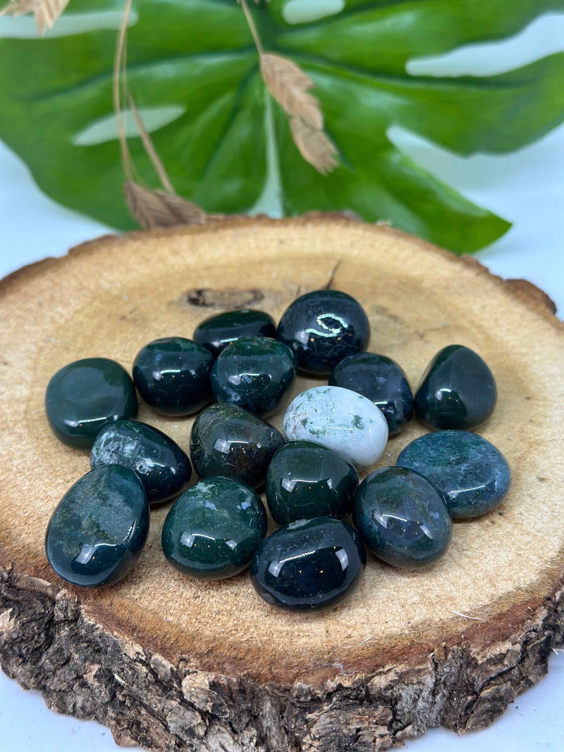 Mosagaat trommelsteen