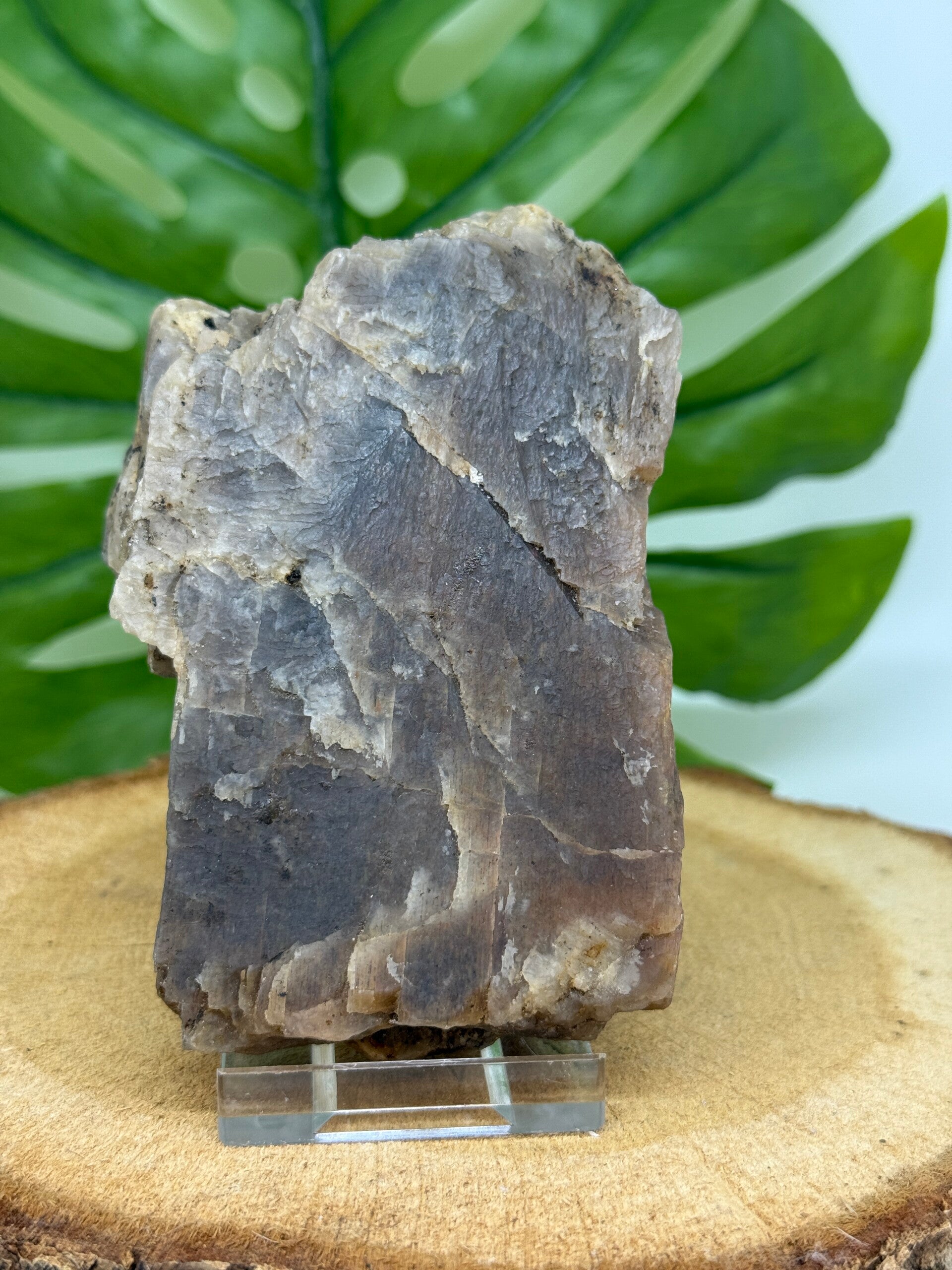 Zwarte Maansteen ruw