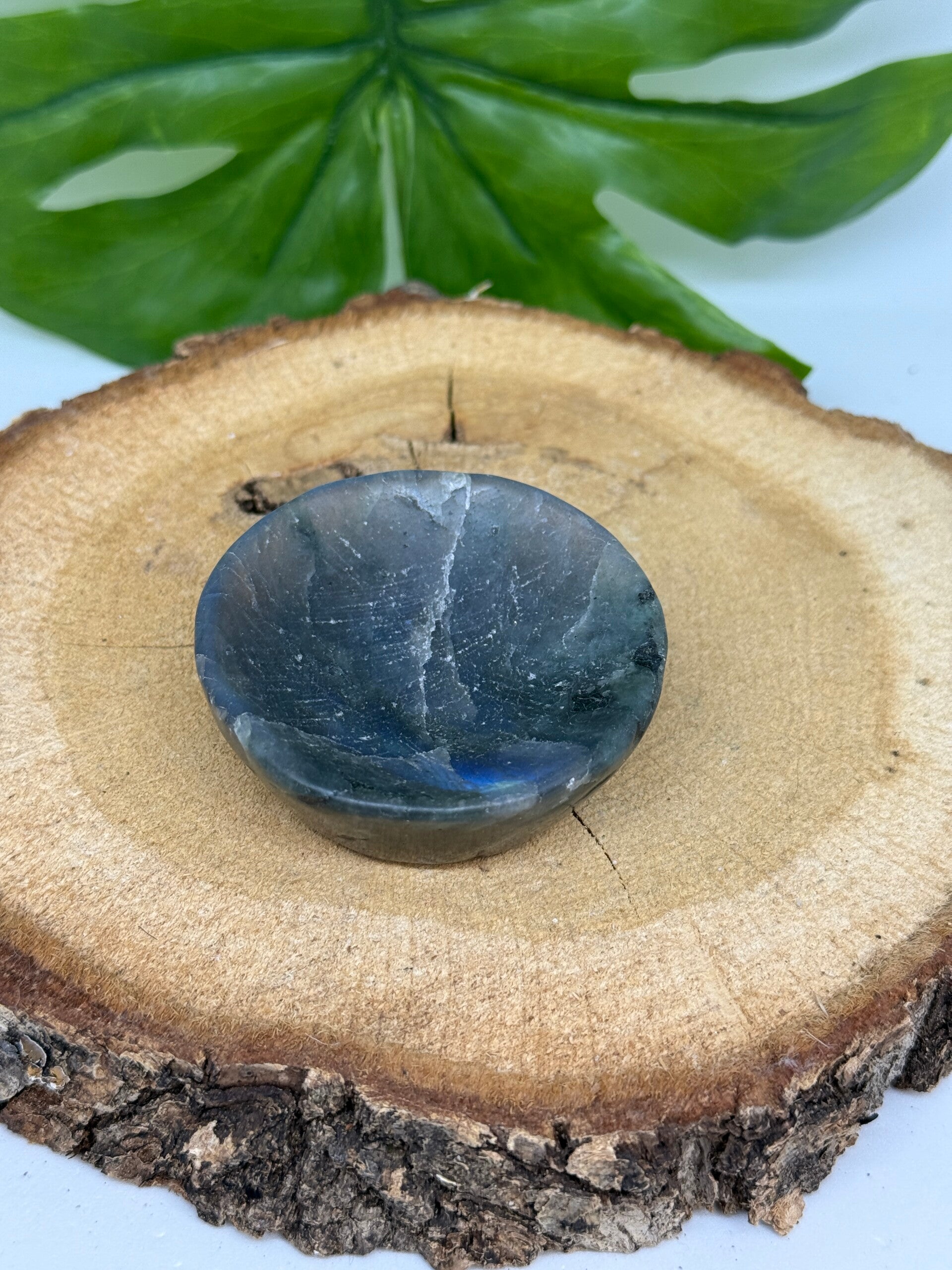 Labradoriet schaaltje