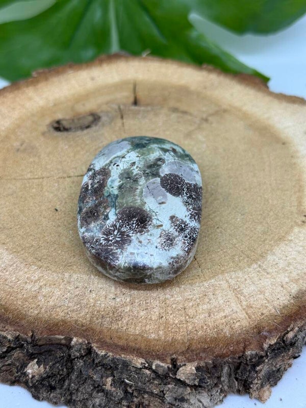 Russisch Agaat palmsteen