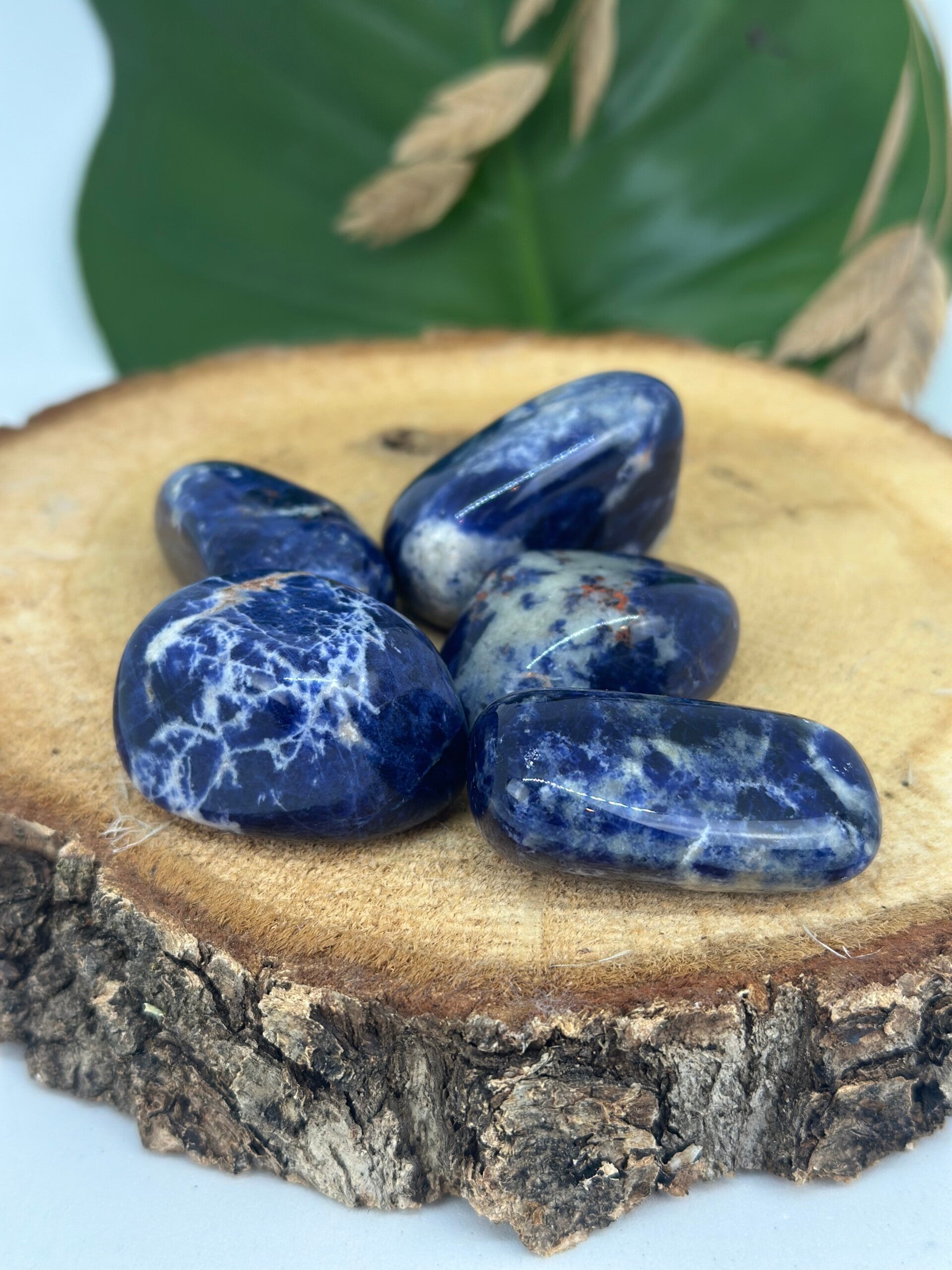 Sodaliet trommelsteen