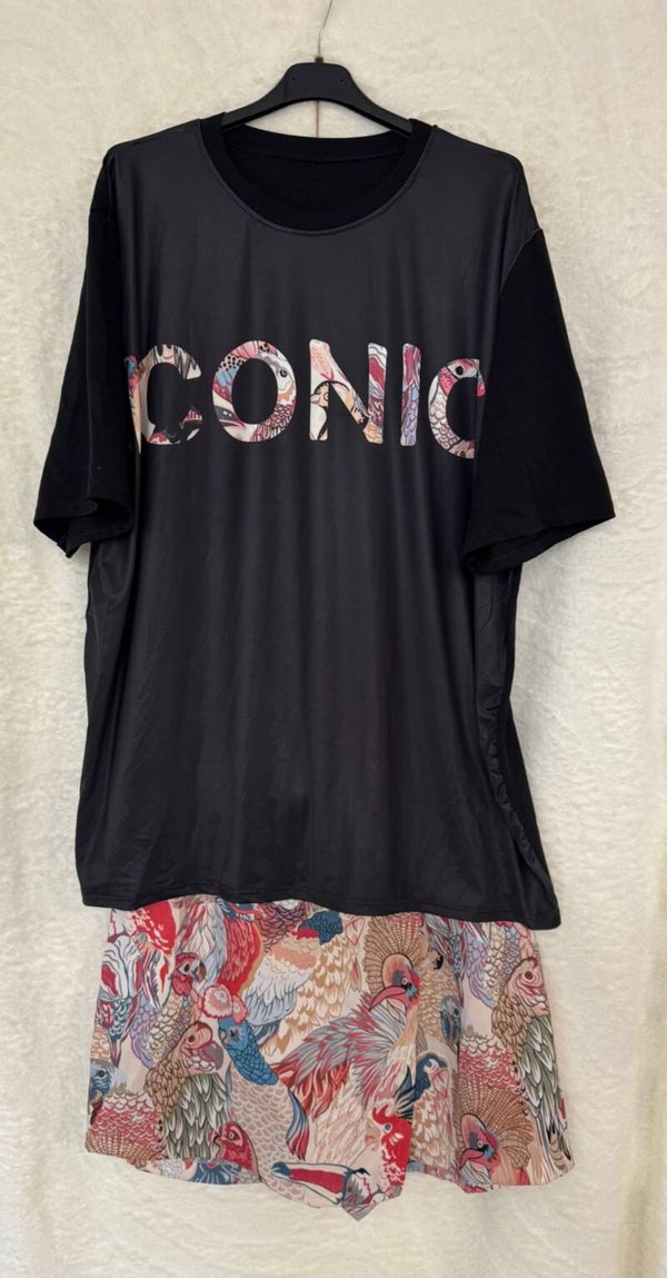 Iconic bird set
