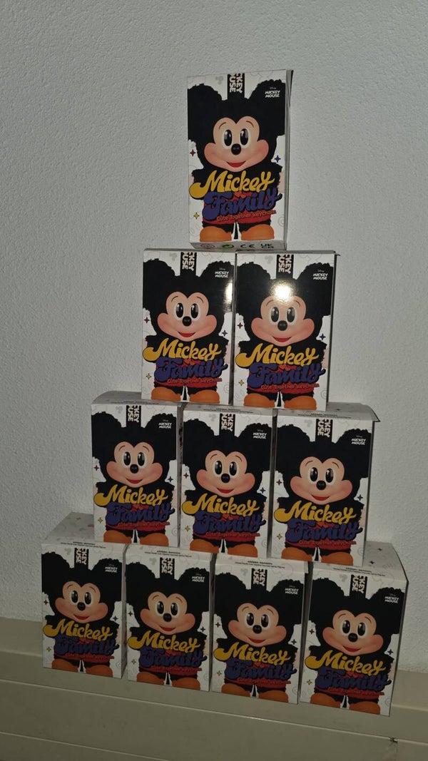 Disney mistery bubu