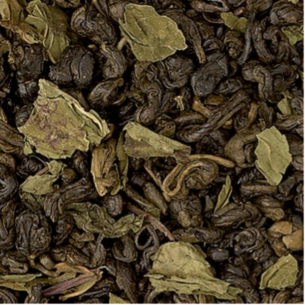 Marrakech Mint