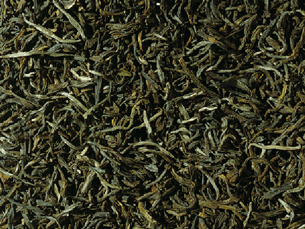 Tè  Verde Yunnan Fop