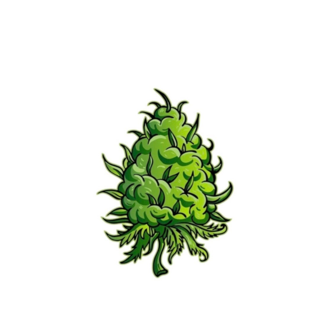 GELATO ORANGE CAKE 🇨🇦