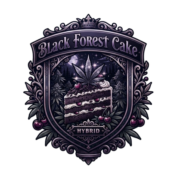 BLACK FOREST CAKE 🇬🇧