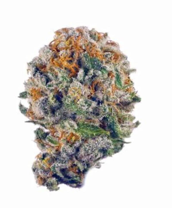 RAINBOW RUNTZ 🇺🇸