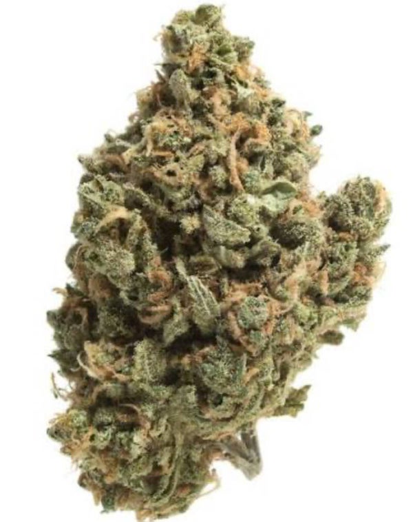 JET FUEL GELATO🇺🇸
