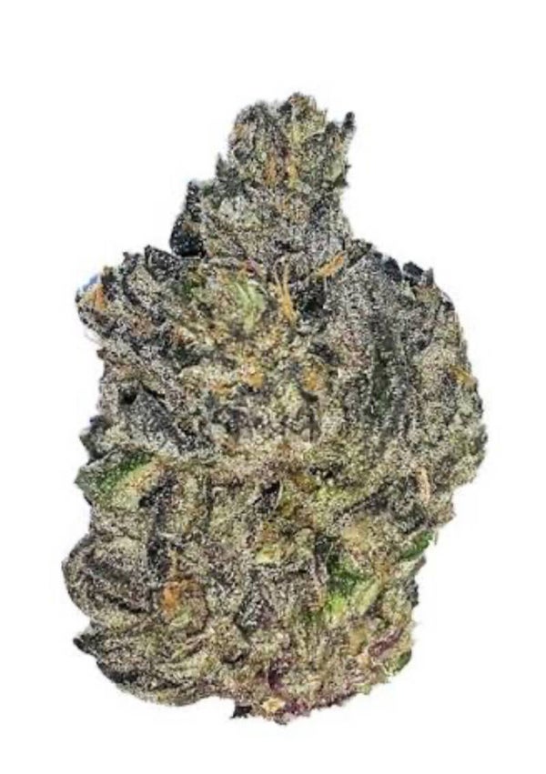 OZK KUSH 🇬🇧