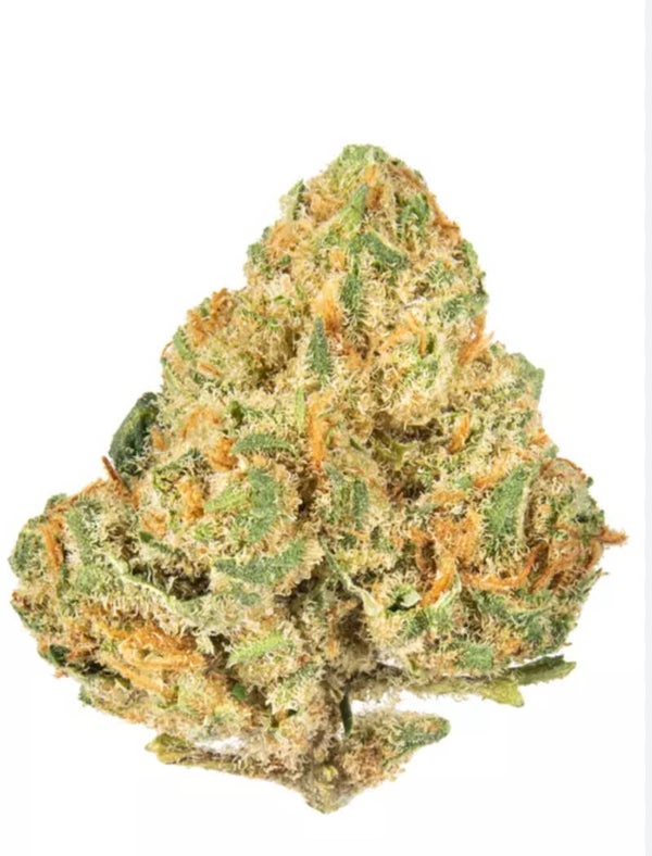 ALIEN OG 🇺🇸