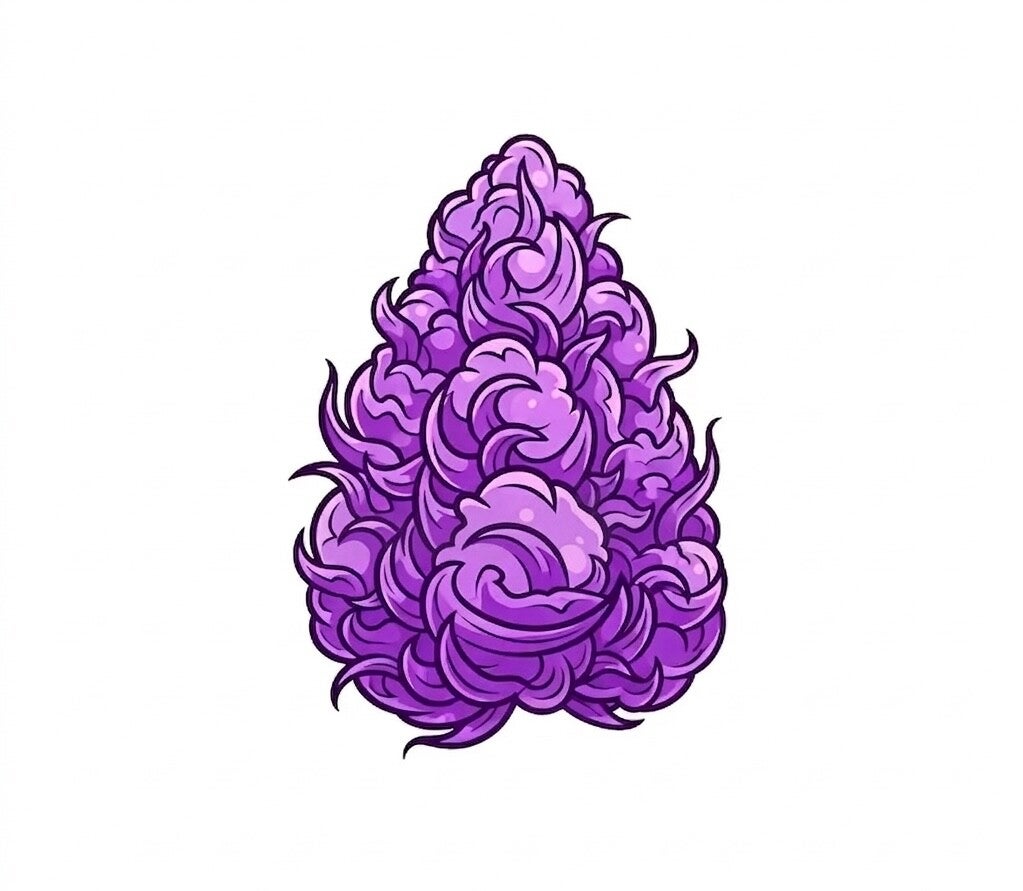 ITALIAN ICE 🇺🇸