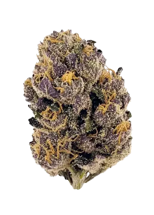 PURPLE CANDY 🇺🇸