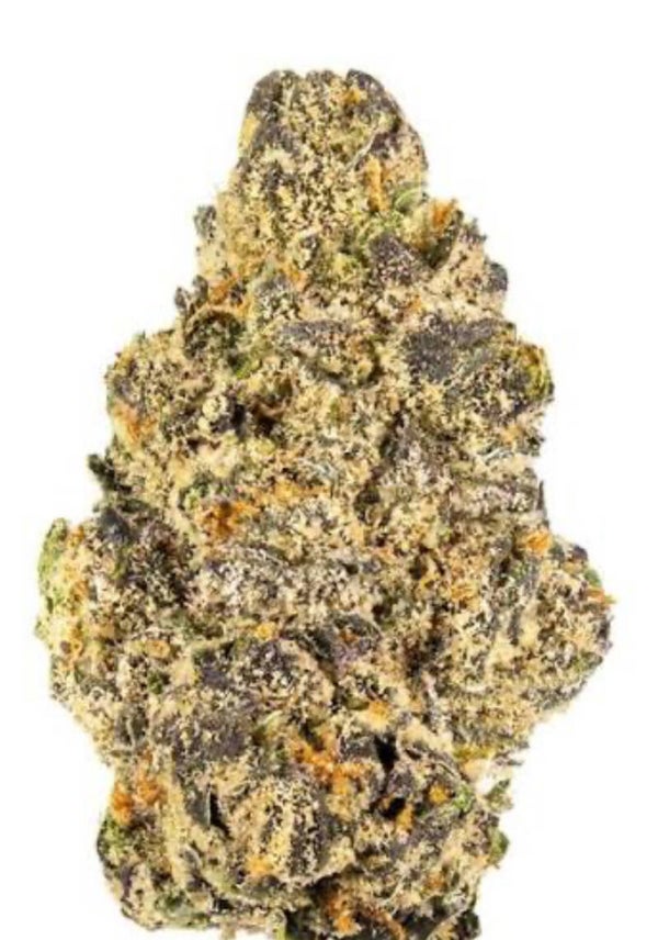 COOKIE RUNTZ 🇺🇸