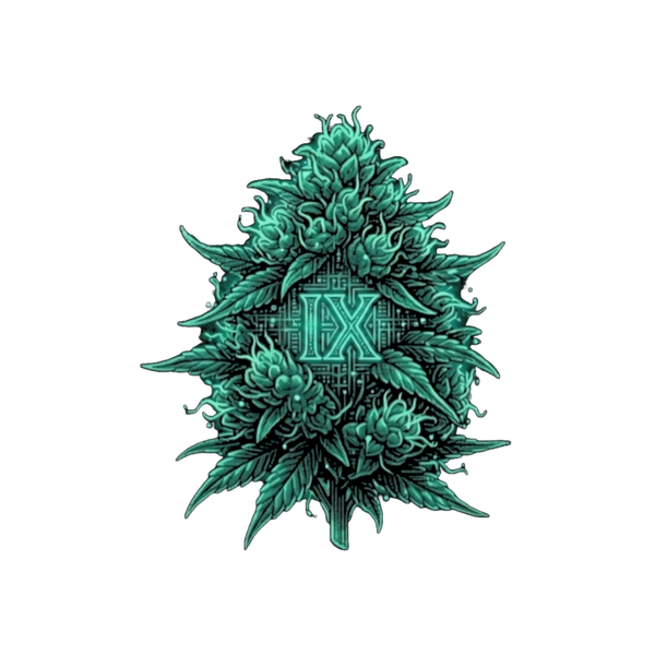 FRUIT PUNCH 🇺🇸